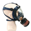 Clear Face Chemical Gas Dust Mask with Filter
