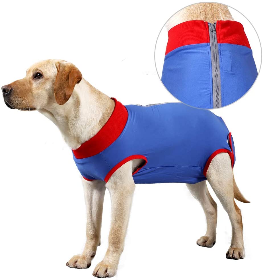 Fashion XXL Dog Recovery Suit Surgical